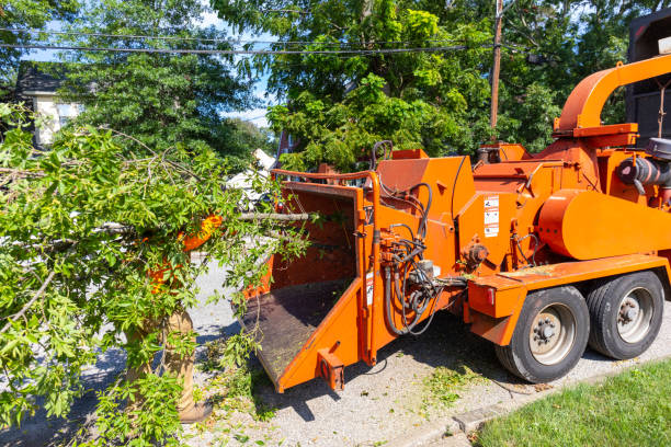 Best Tree Pruning Services  in Coopersville, MI